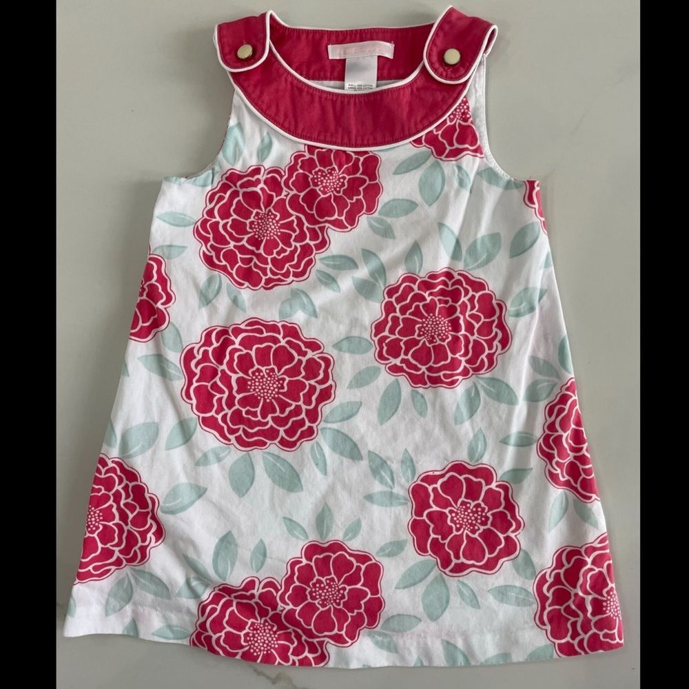 Janie and Jack Floral Shift Dress Pink and White Size 18-24 Months